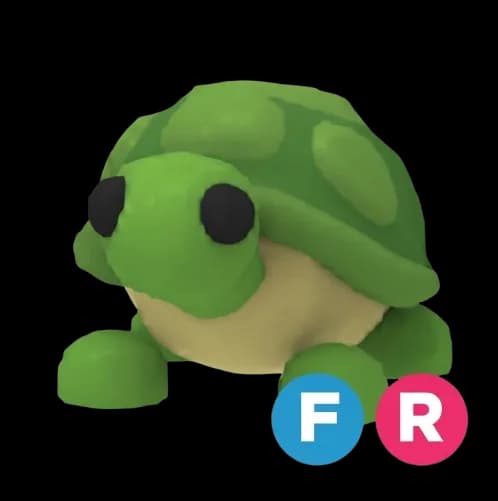 Turtle - FR (Voar e Montar)