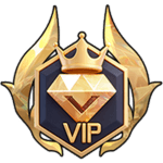 VIP Pass