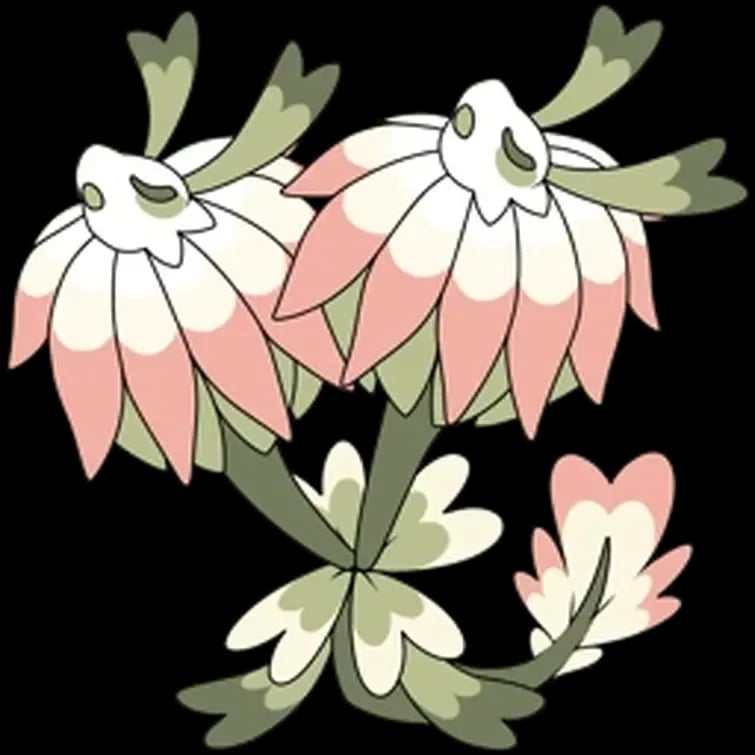 Clover Blossom